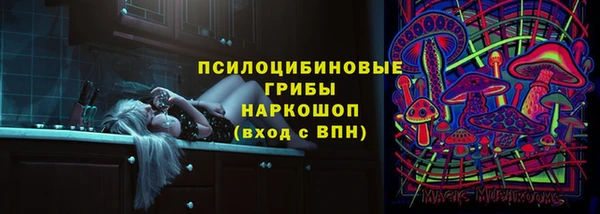 сатива Алексеевка