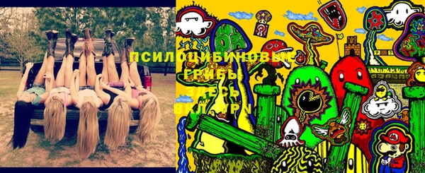 ALPHA PVP Алексин