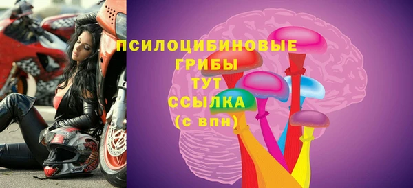 ALPHA PVP Алексин