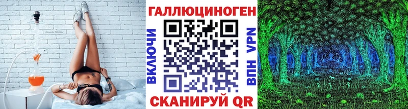 Псилоцибиновые грибы Psilocybine cubensis  Ишим 