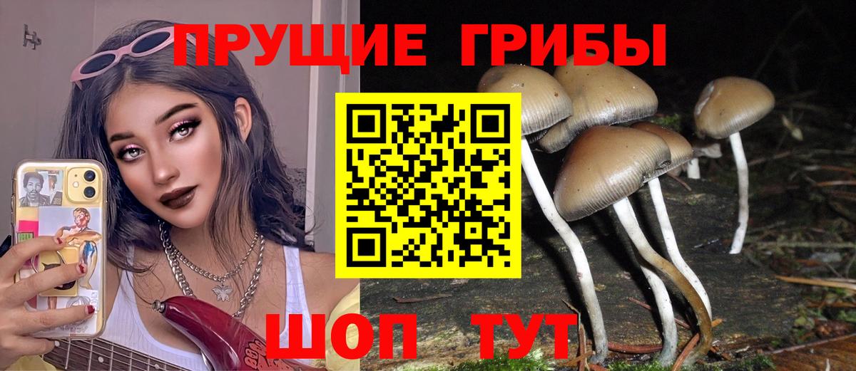 Псилоцибиновые грибы MAGIC MUSHROOMS  Вход с VPN  наркота  Ишим 