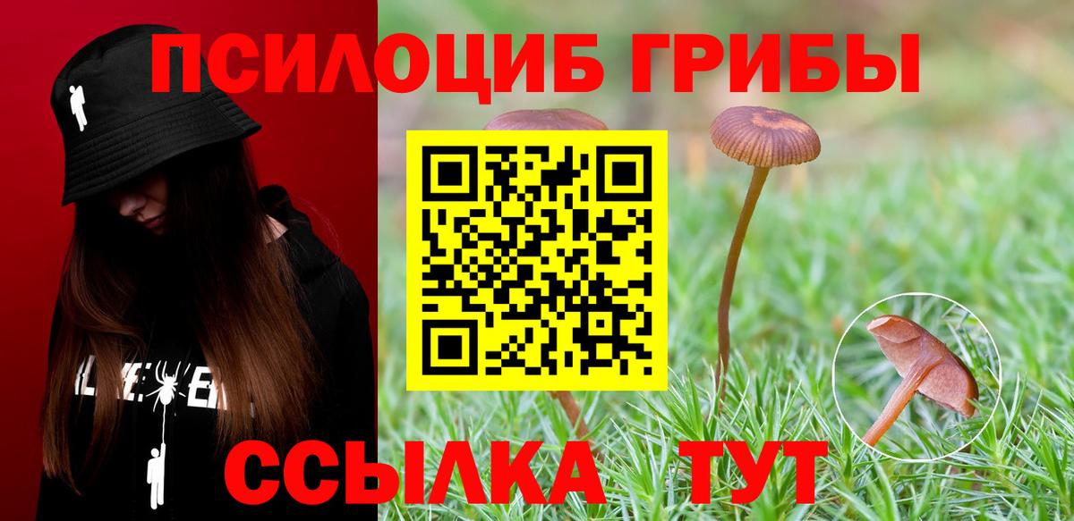 Галлюциногенные грибы Psilocybine cubensis Ишим